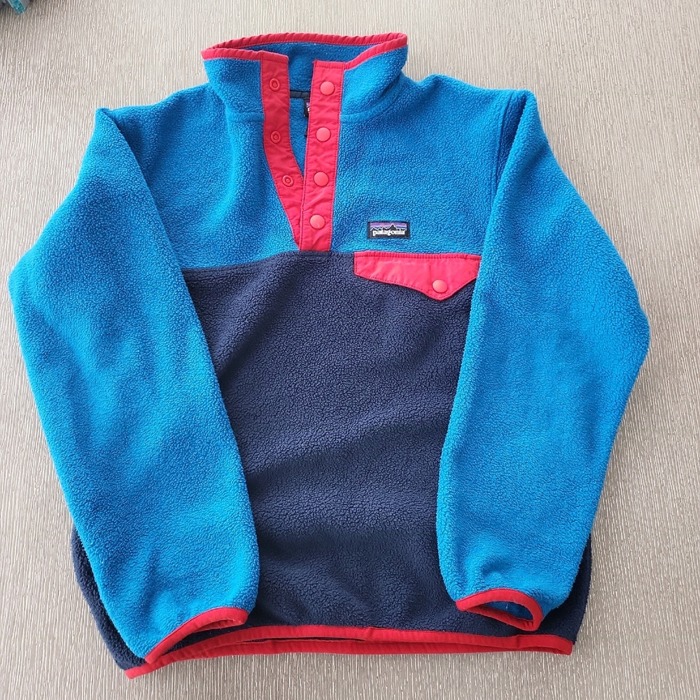 Patagonia Blue and Red Fleece Pullover